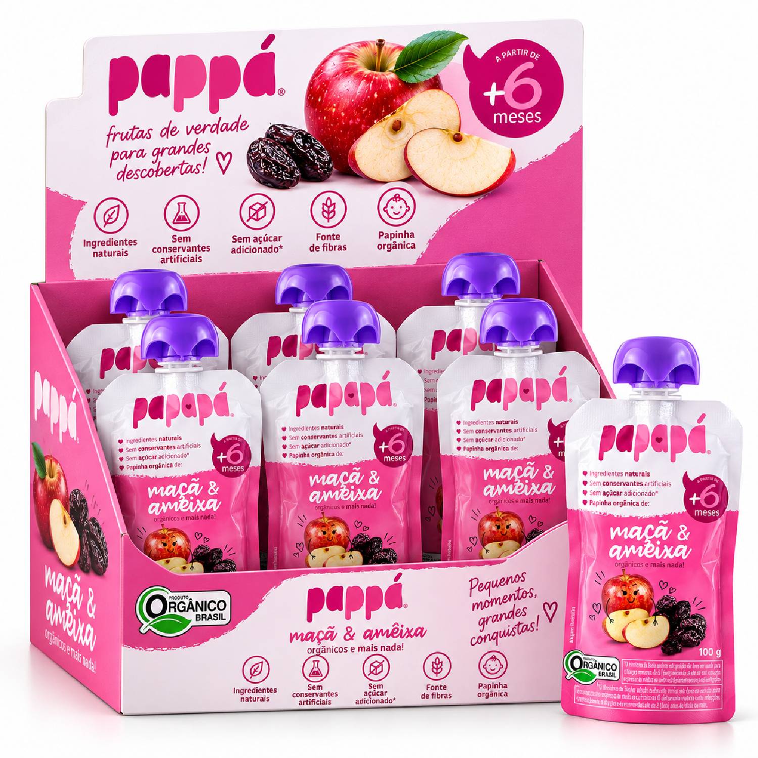 Kit 6 Papinha Orgânica Maçã e Ameixa PAPAPÁ 100g