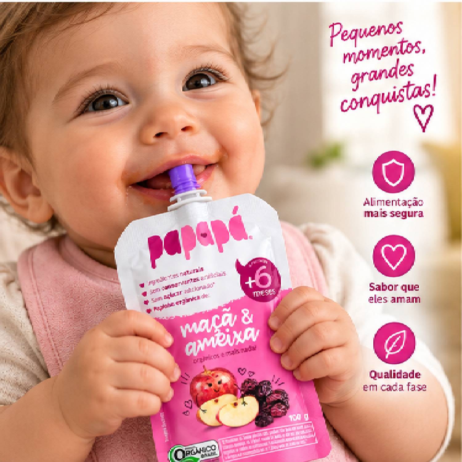 Kit 6 Papinha Orgânica Maçã e Ameixa PAPAPÁ 100g foto 9