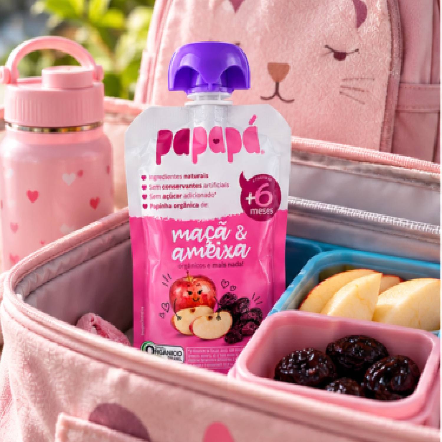 Kit 12 Papinha Orgânica Maçã e Ameixa PAPAPÁ 100g foto 3