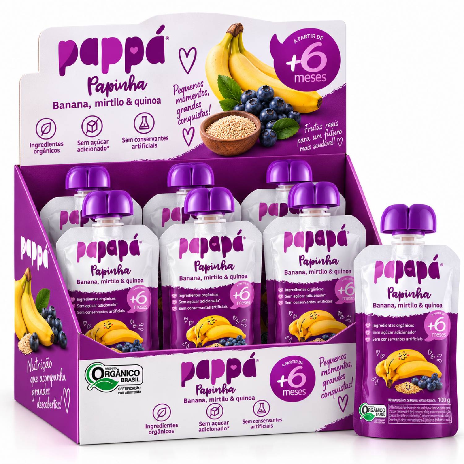 Kit 6 Papinha Orgânica Banana, Mirtilo e Quinoa PAPAPÁ 100g