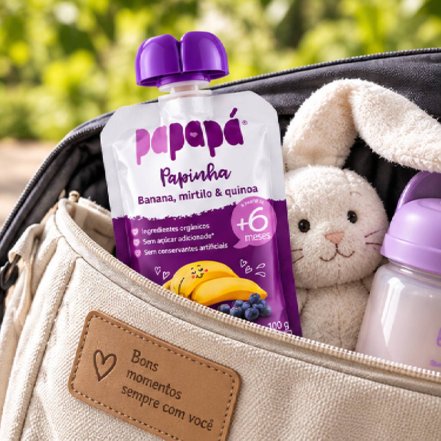Kit 6 Papinha Orgânica Banana, Mirtilo e Quinoa PAPAPÁ 100g foto 3