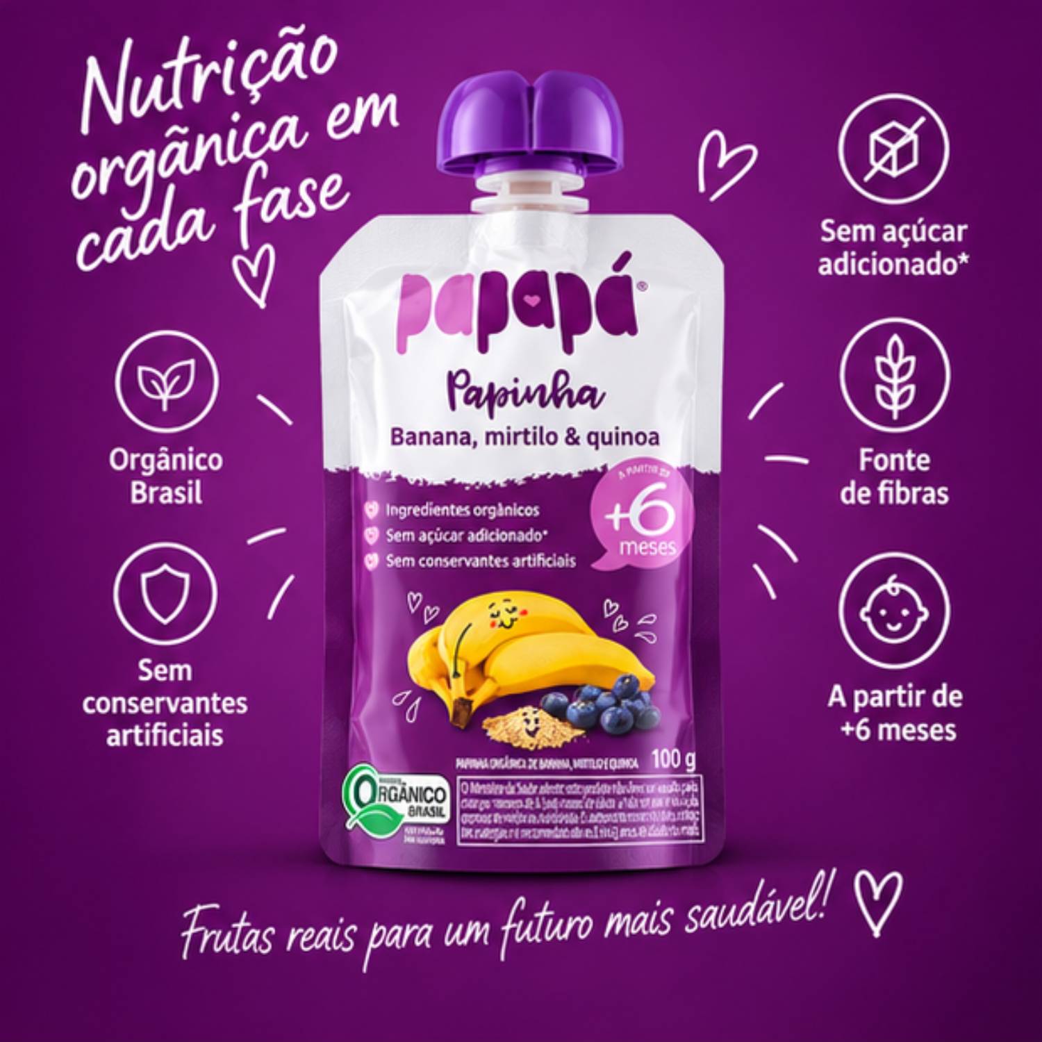 Kit 6 Papinha Orgânica Banana, Mirtilo e Quinoa PAPAPÁ 100g foto 6