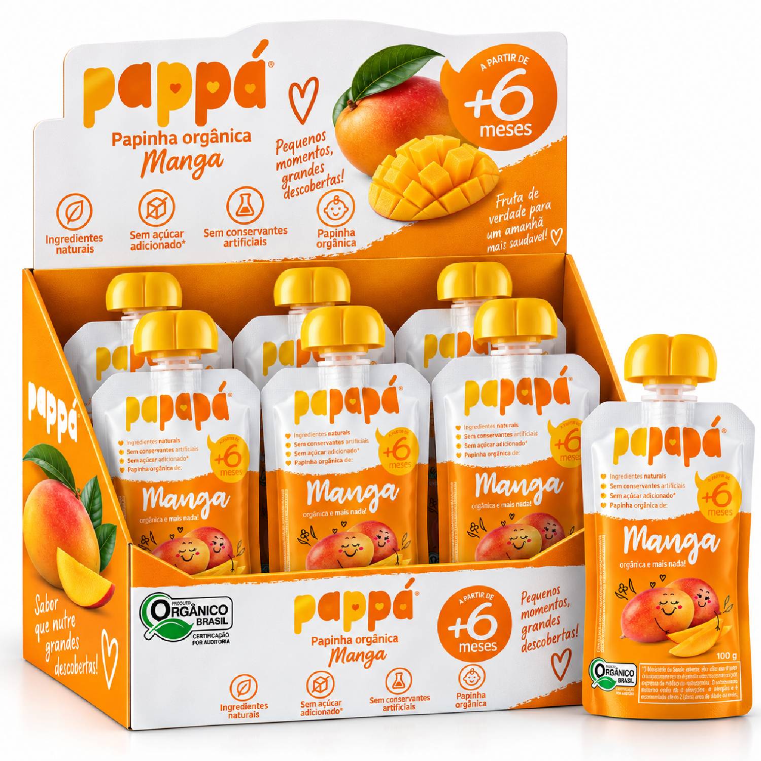 Kit 6 Papinha Orgânica Manga PAPAPÁ 100g