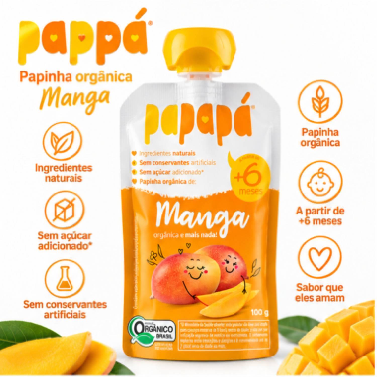 Kit 6 Papinha Orgânica Manga PAPAPÁ 100g foto 2