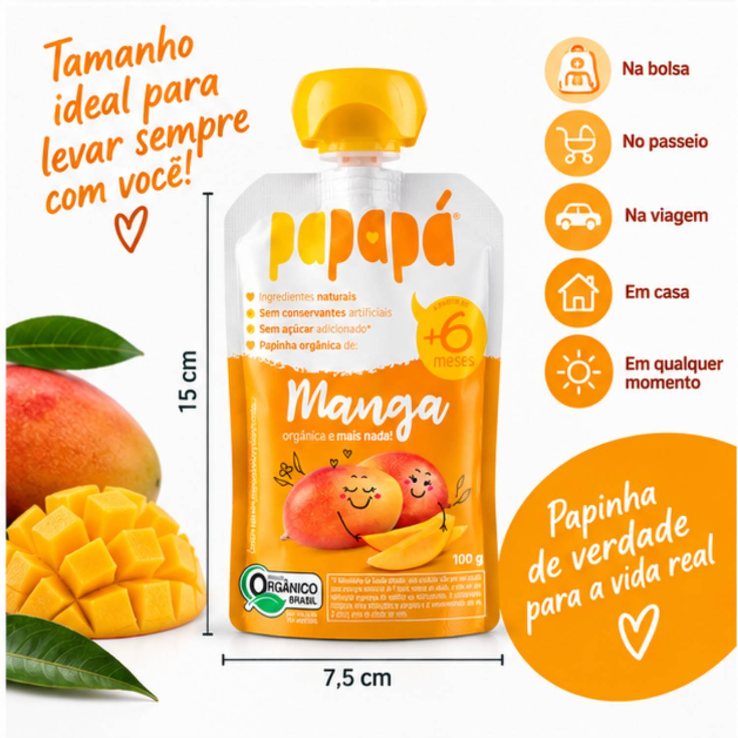 Kit 6 Papinha Orgânica Manga PAPAPÁ 100g foto 6