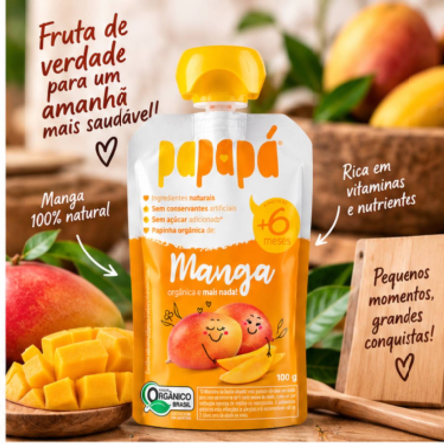 Kit 6 Papinha Orgânica Manga PAPAPÁ 100g foto 8