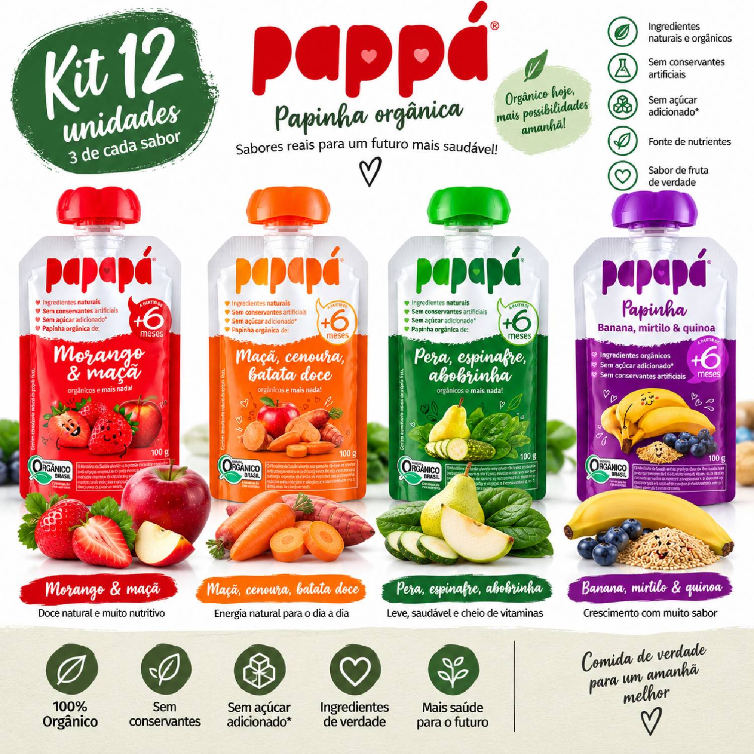 Kit Misto 12 Papinhas Orgânicas PapaPá 100g - 4 Sabores foto 2