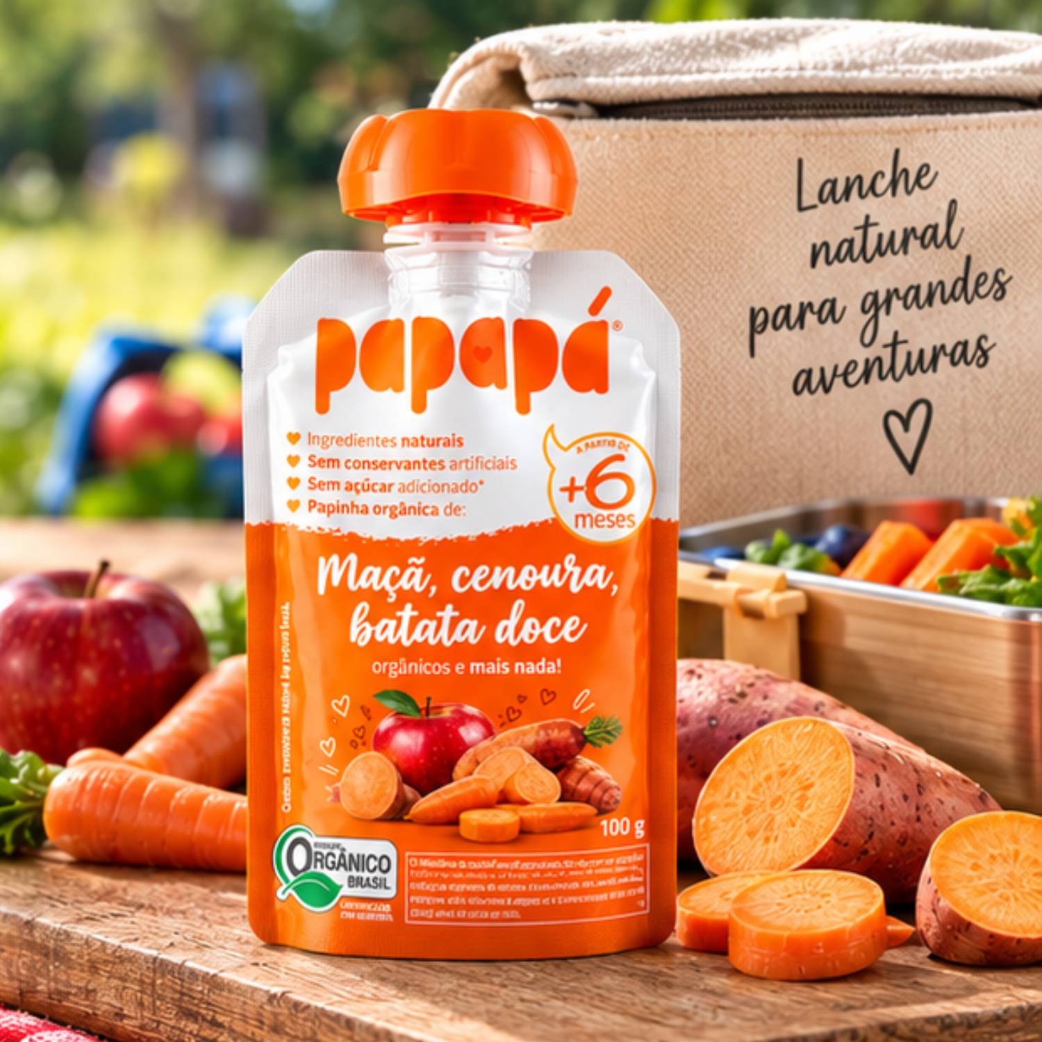 Kit Misto 48 Papinhas Orgânicas PapaPá 100g - 4 Sabores foto 2