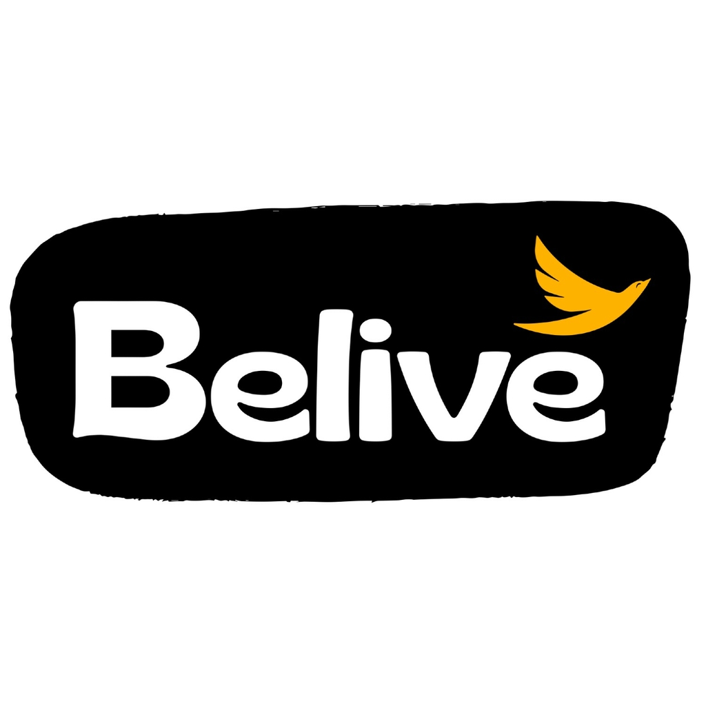 Salgadinho BELIVE Sabor Queijo S/ Gluten 25g foto 14