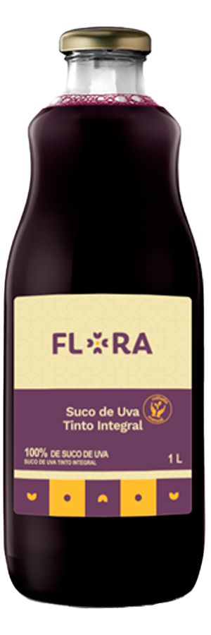 Uva Passa Preta FLORA s/ semente FLORA 250g