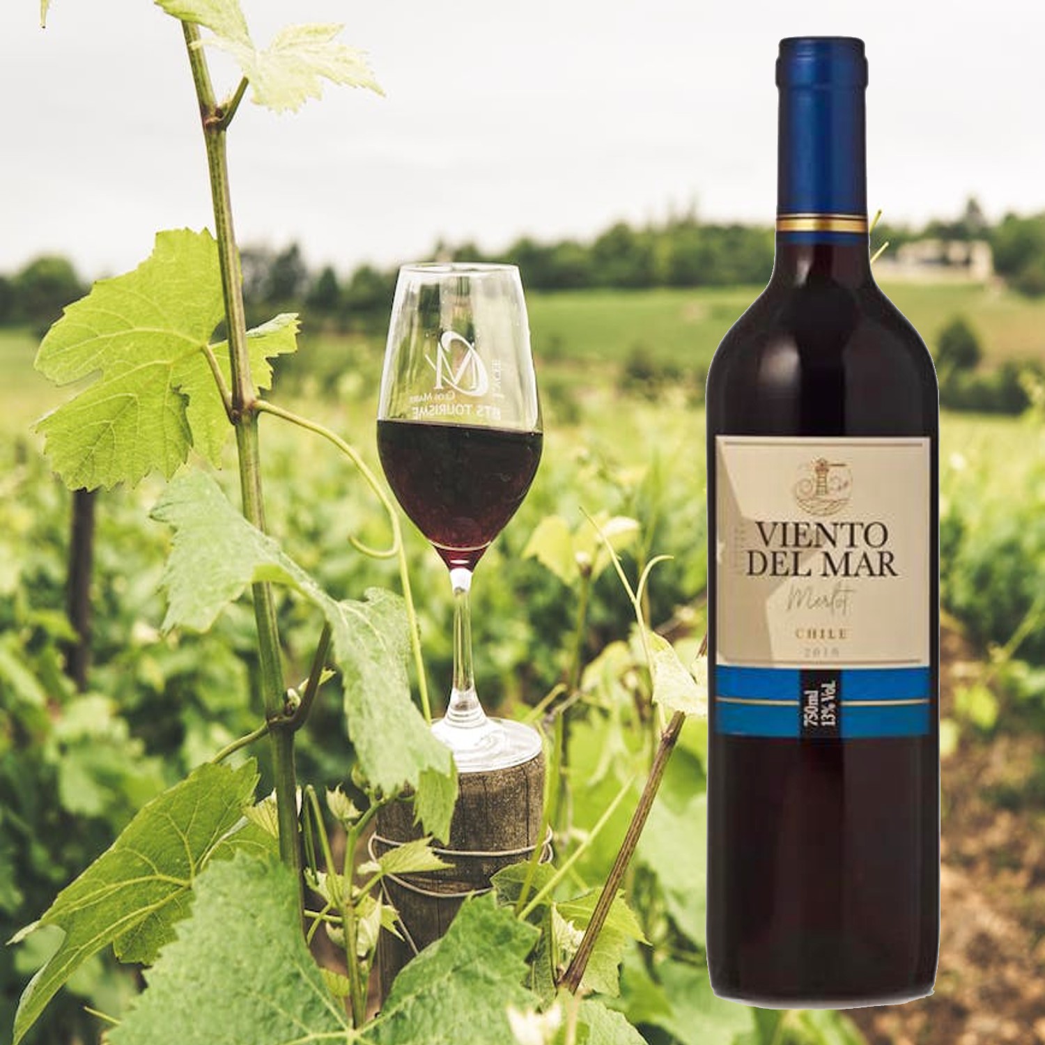 Vinho Chileno VIENTO DEL MAR Merlot 750ml foto 2