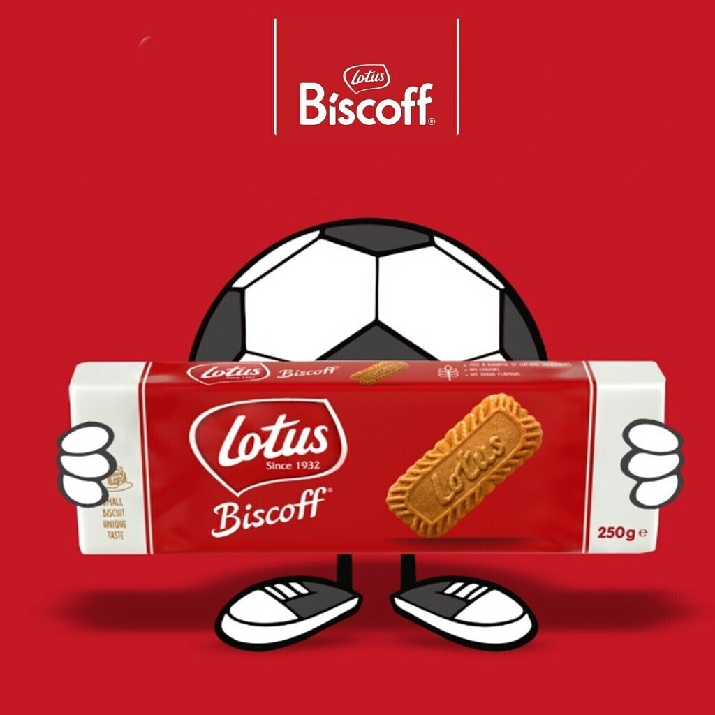 Biscoito Belga LOTUS BISCOFF 250g foto 12