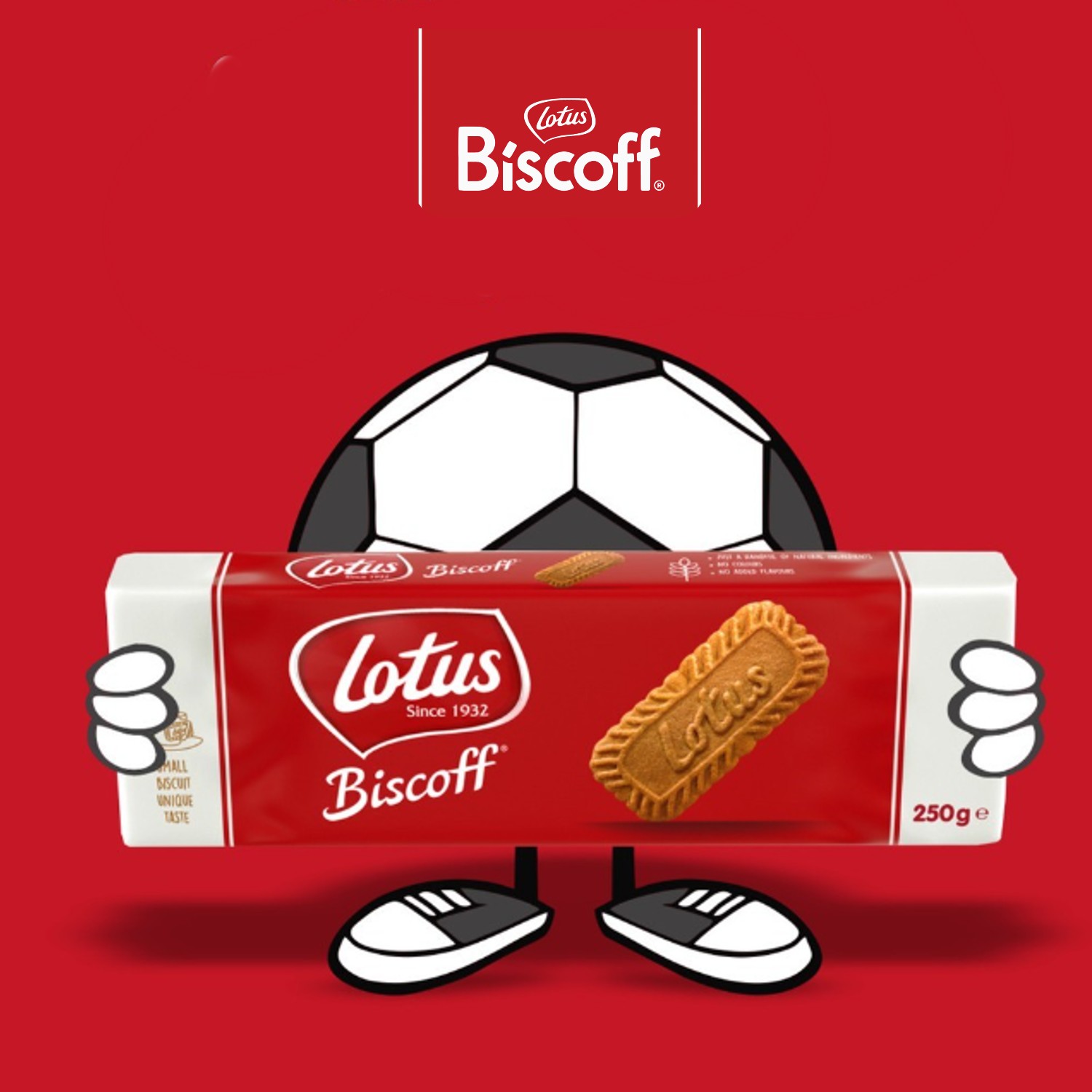 Biscoito Belga LOTUS BISCOFF 250g foto 3