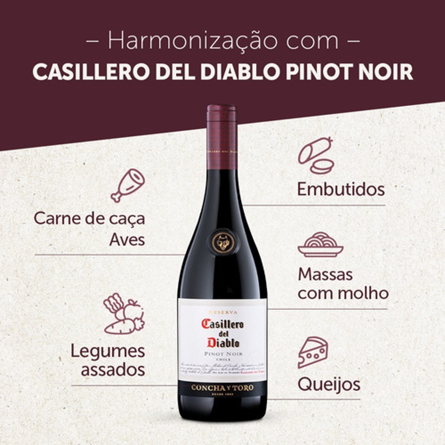 Vinho CASILLERO DEL DIABLO Pinot Noir 750ml foto 2