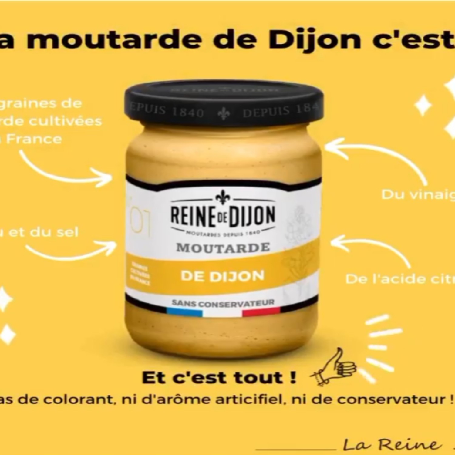 Mostarda REINE DE DIJON Forte 200g (França) foto 2