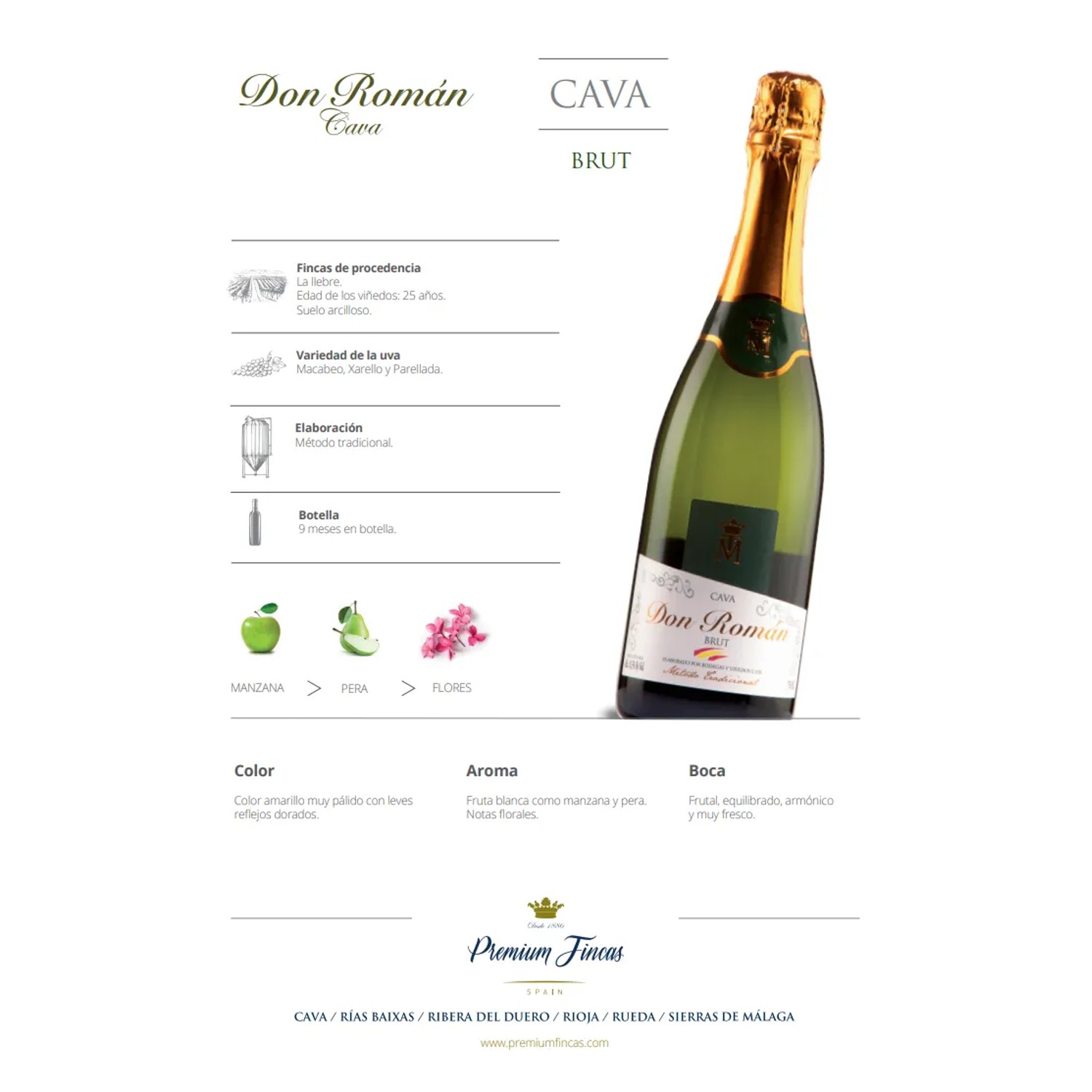 Cava Espanhola Don Roman Brut 750ml foto 3