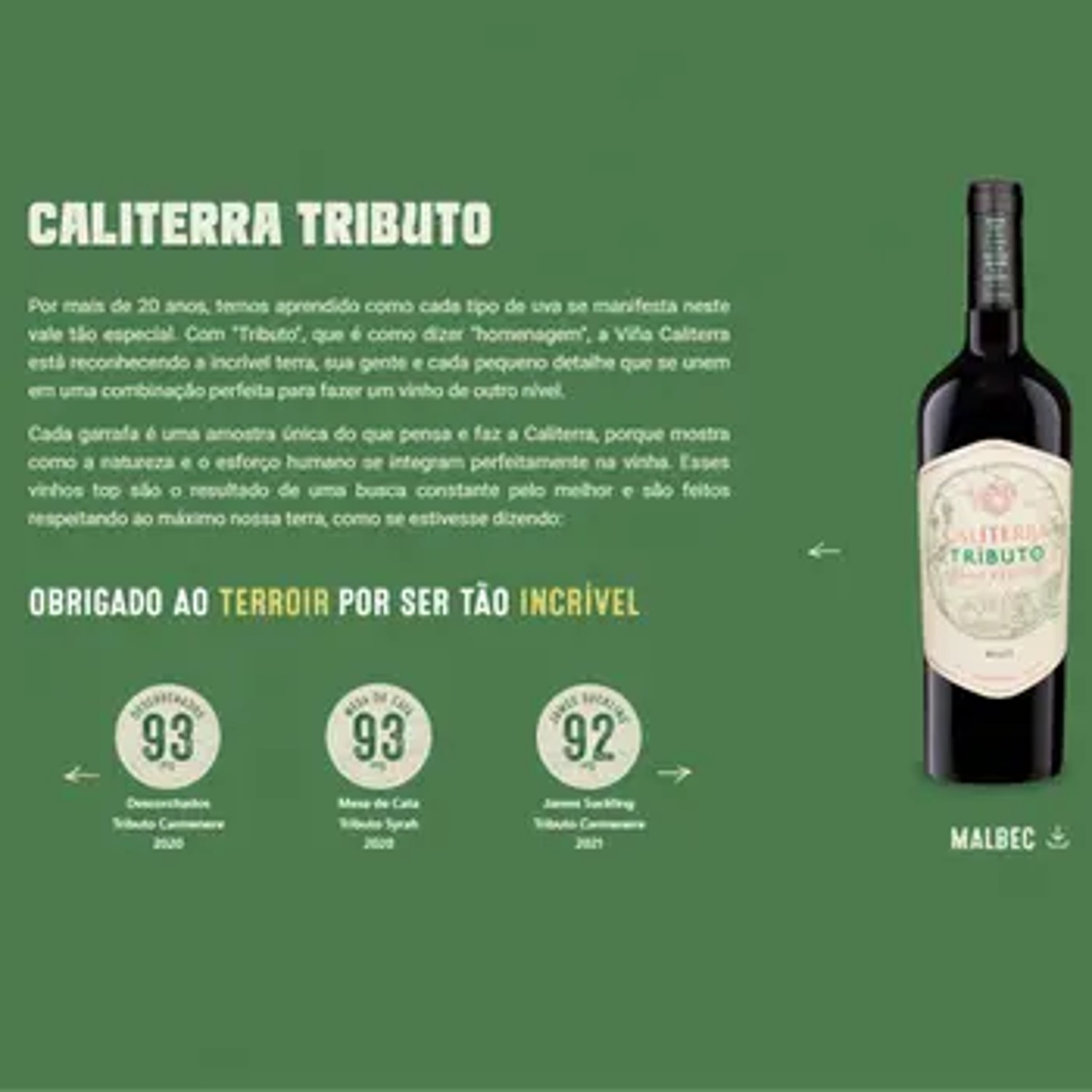 Vinho Chileno CALITERRA Reserva Malbec 750ml foto 2