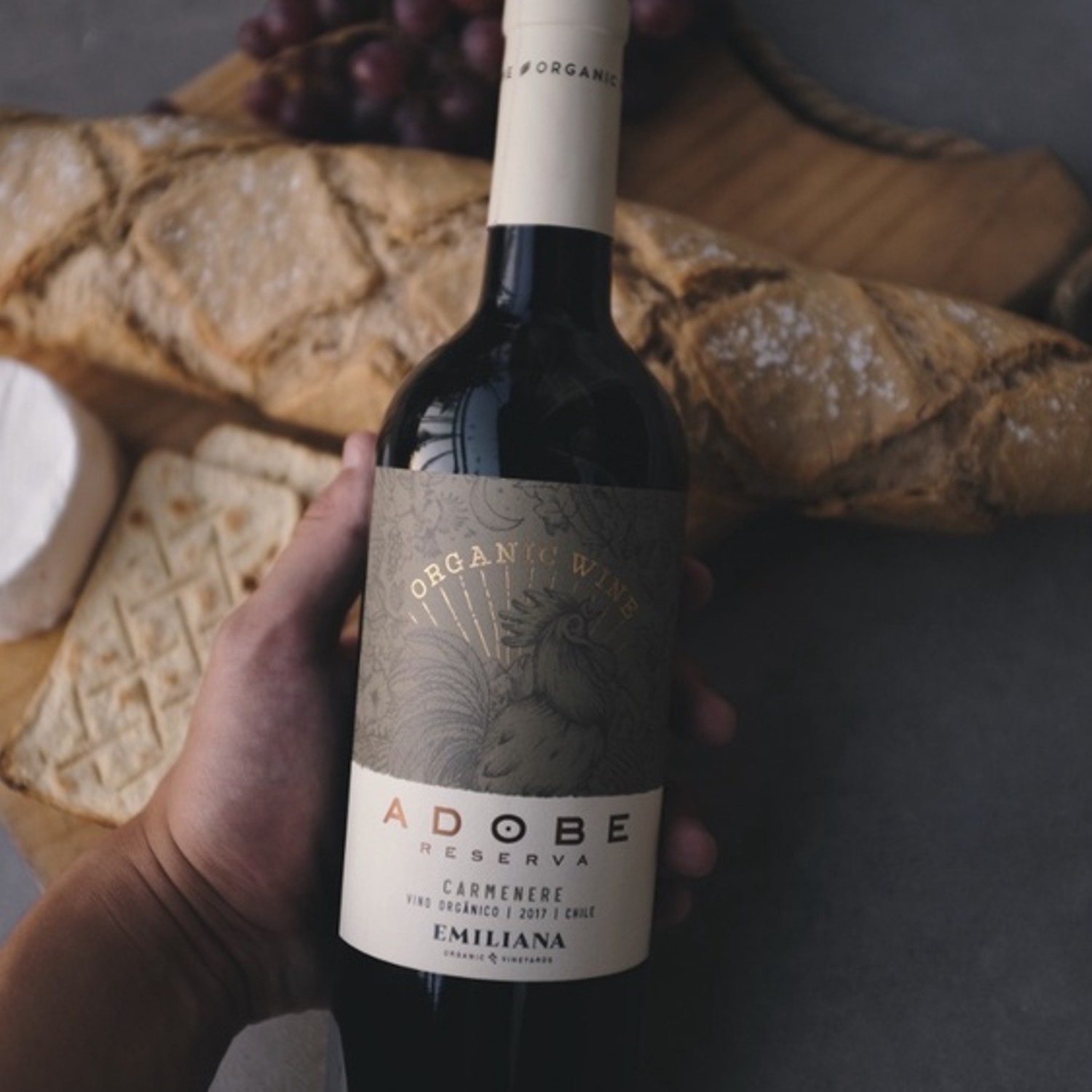 Vinho Chileno ADOBE Orgânico Carmenere 750ml foto 3